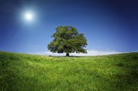 Do You Need an Environmental Whistleblower Lawyer?
